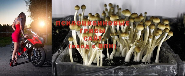 MDMA Premium VHQ Медногорск
